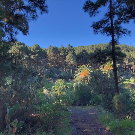 La Guancha Monte Frio De Tenerife المظهر الخارجي الصورة