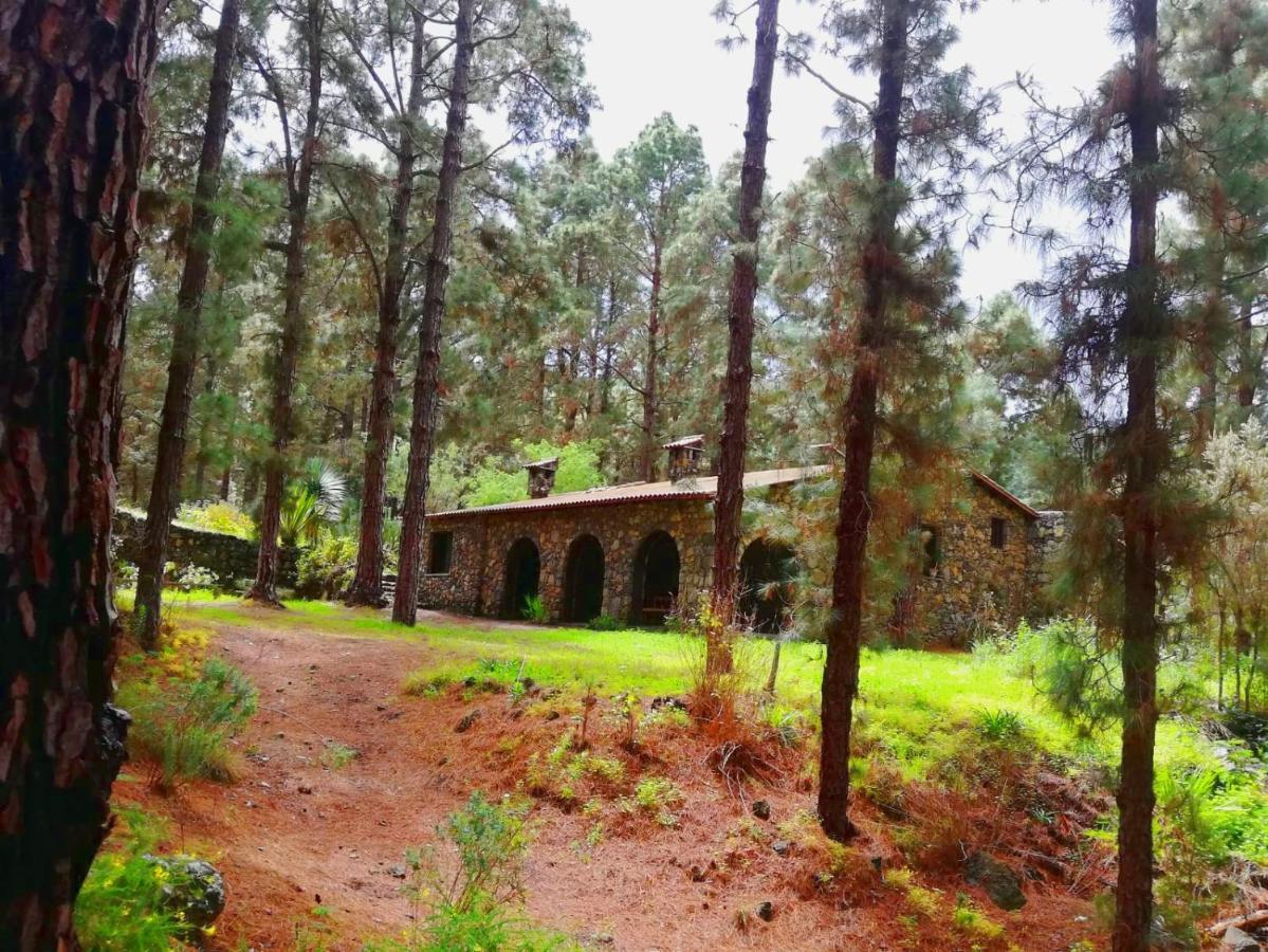 La Guancha Monte Frio De Tenerife المظهر الخارجي الصورة