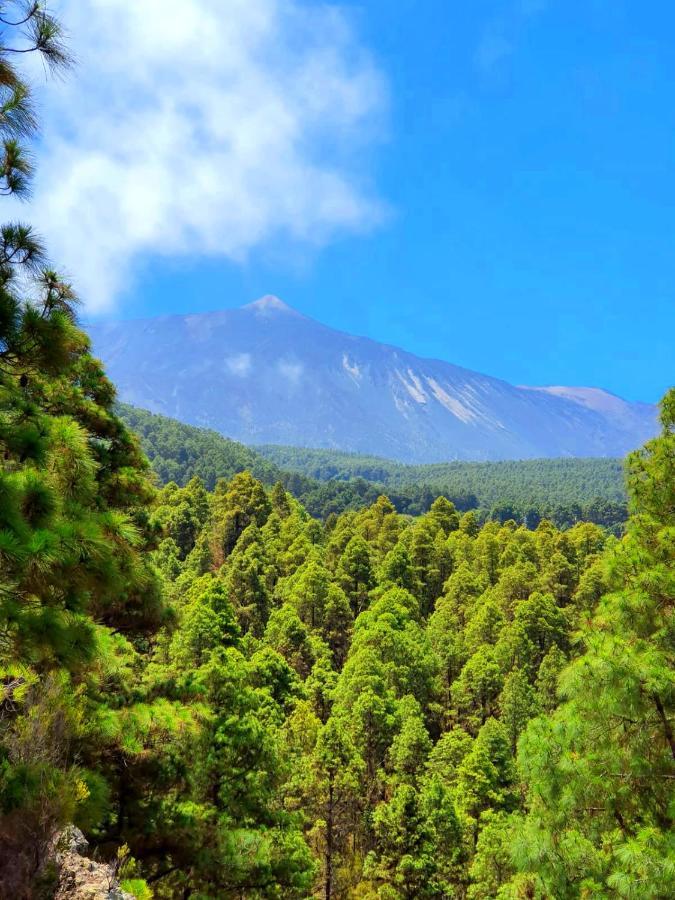 La Guancha Monte Frio De Tenerife المظهر الخارجي الصورة